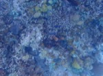 resIMG_20180715_151536_P7150886.JPG